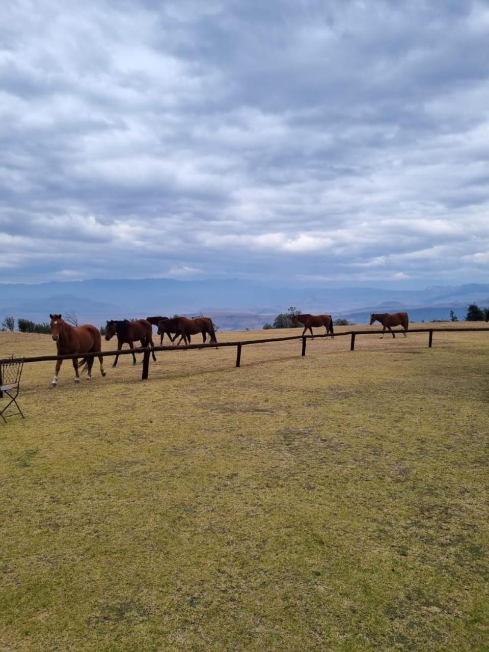 Drakensberg Mountain Retreat Guest House Bergville Eksteriør bilde